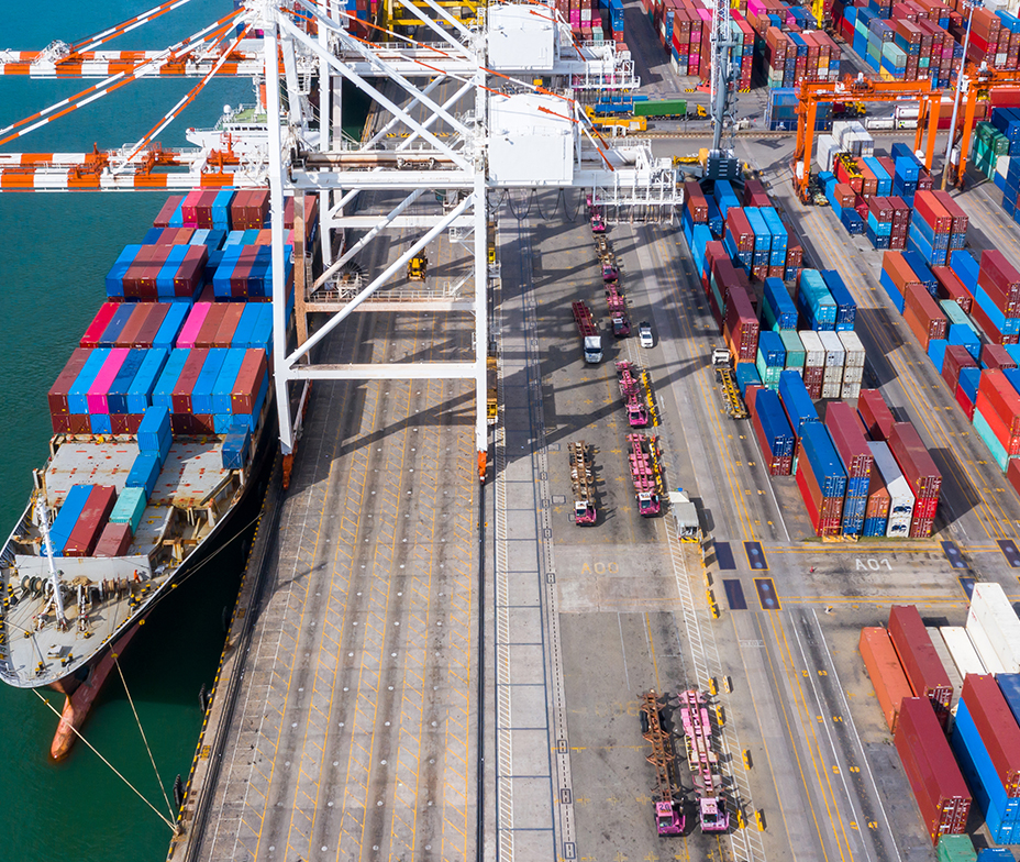 Import Export Consulting