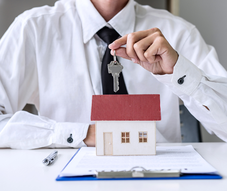 Domestic and International Real Estate Consultancy